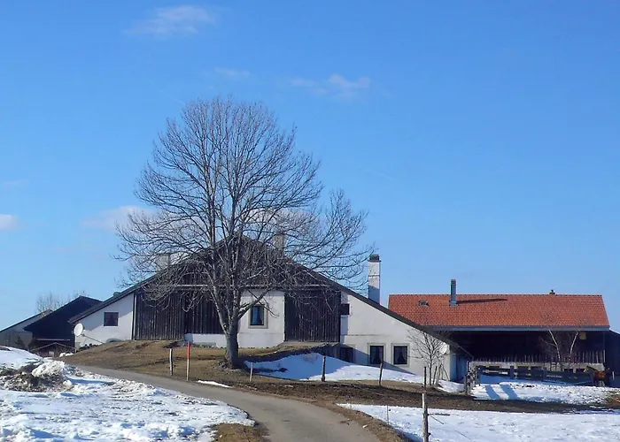 Appartamento Les Grangettes By Interhome