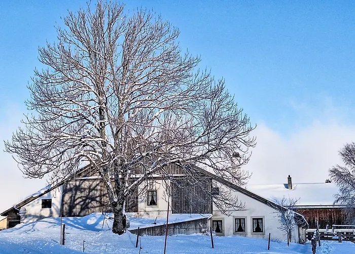 Les Grangettes By Interhome Auberson