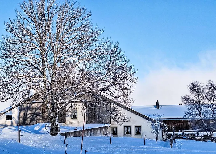 Les Grangettes By Interhome Auberson