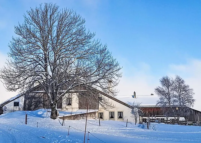 Les Grangettes By Interhome