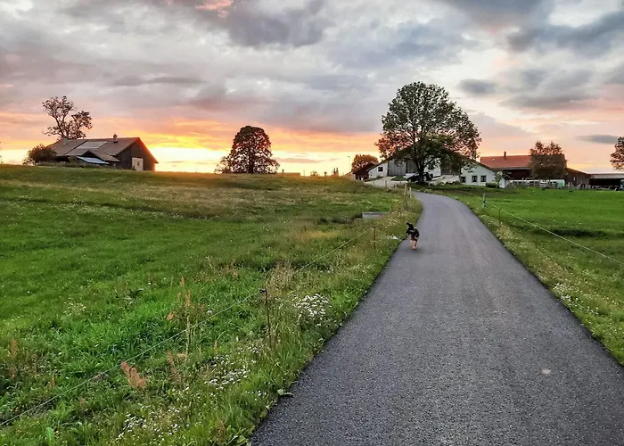 Les Grangettes By Interhome